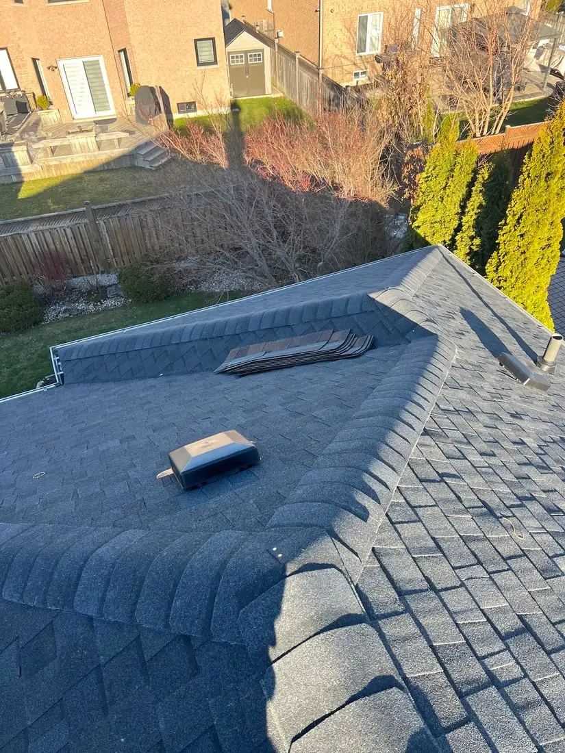 A completed dark grey roof with crisp new ridge cap and a box vent, looking down into a backyard with a cedar hedge in low golden light.